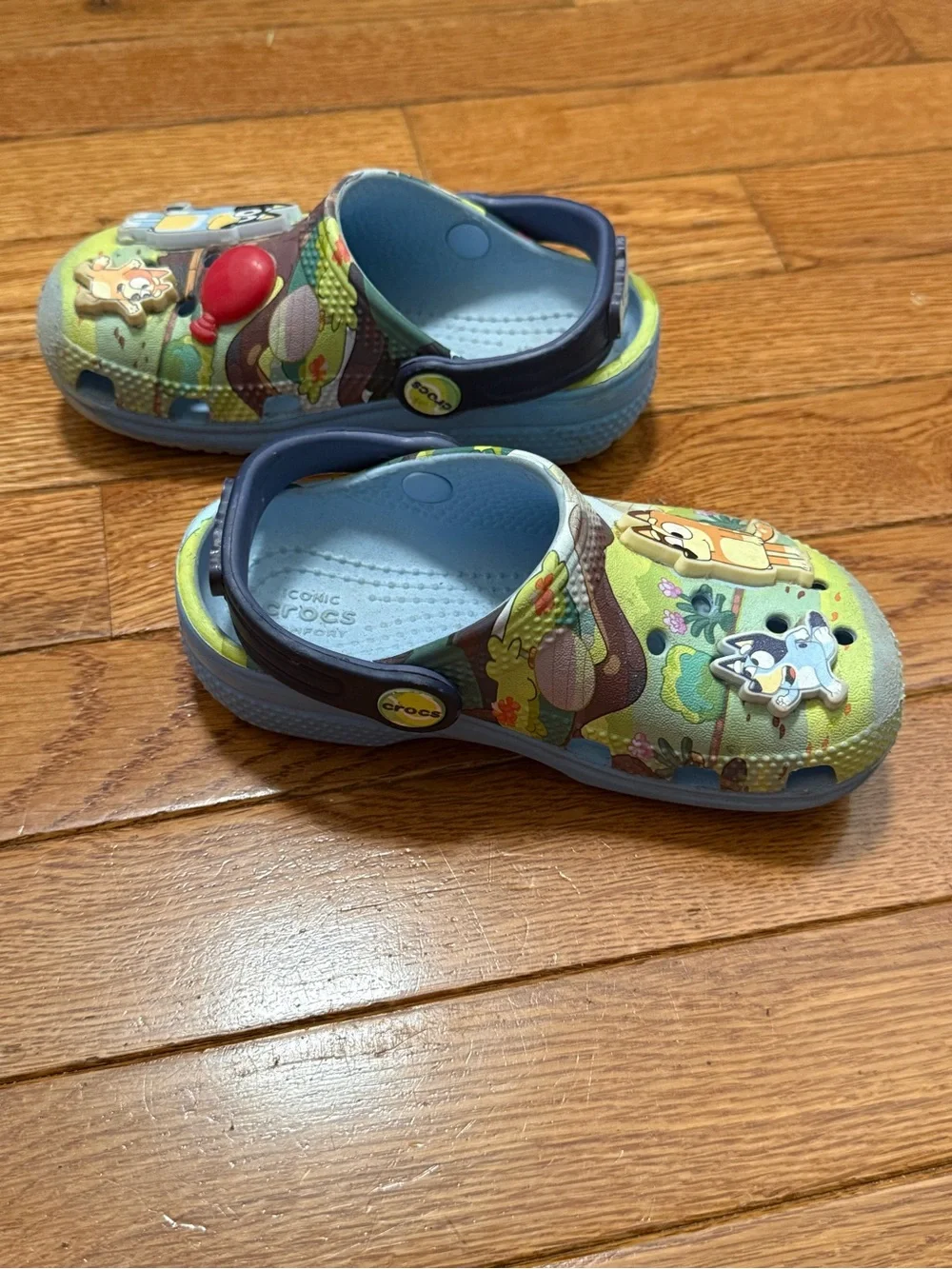 Bluey Cartoon Slip-On Clogs crocs C9